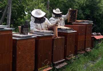 Včelári kontrolujú včelstvo